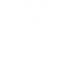 Billy-icon-white