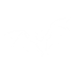 Bat-icon-white