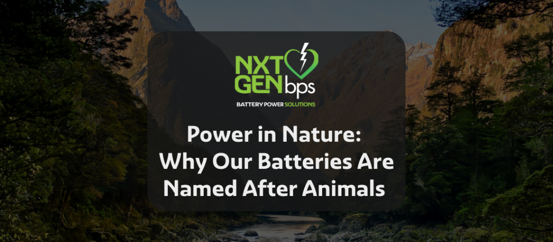 NXTGENbps featured images (89)